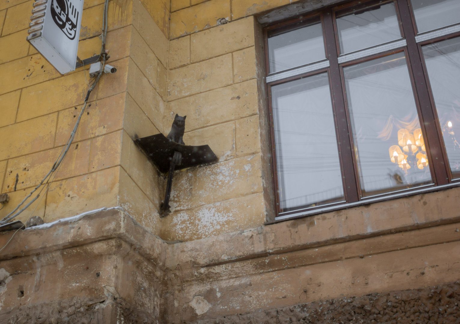 кот елисей в санкт петербурге