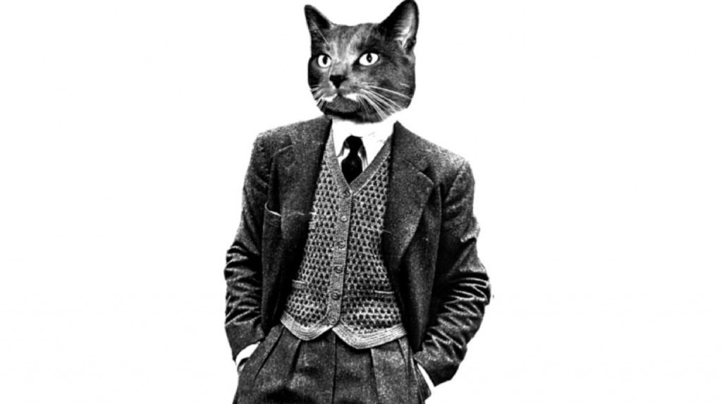 Краткое содержание: сумки — The Vyshka